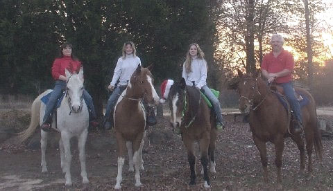 Suzanne Family Horses Image